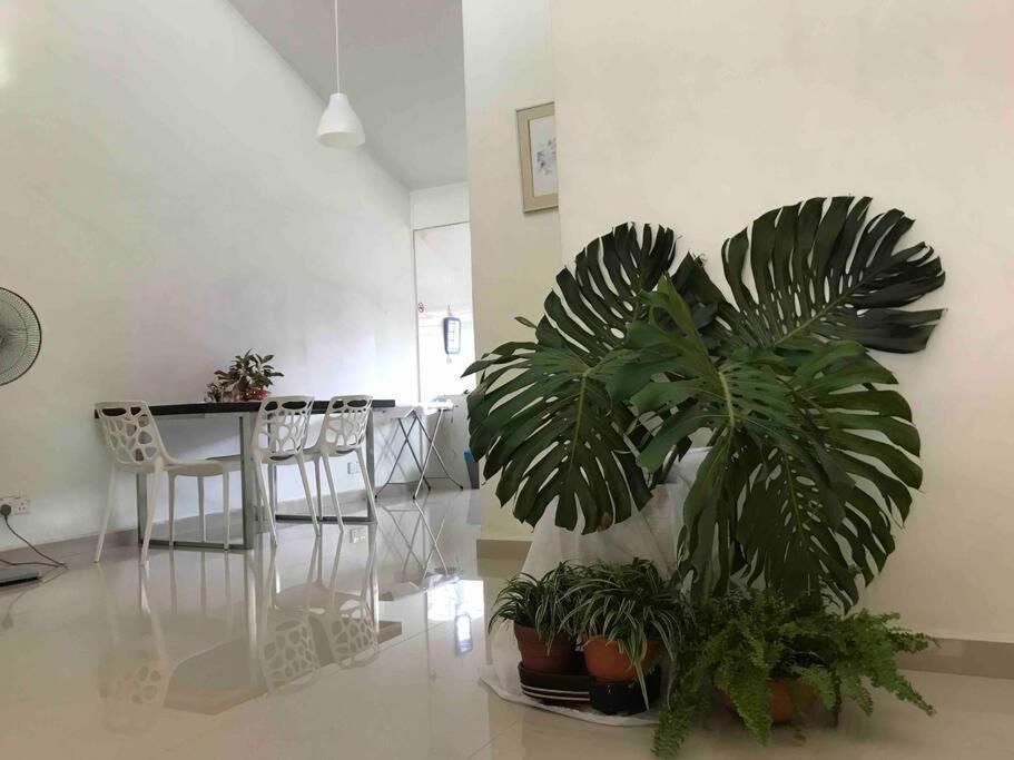 Terrace House Near Stulang Laut Ciq Midvalley Ksl For 7Pax Johor Bahru Eksteriør bilde