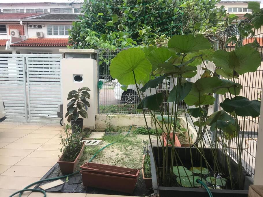 Terrace House Near Stulang Laut Ciq Midvalley Ksl For 7Pax Johor Bahru Eksteriør bilde